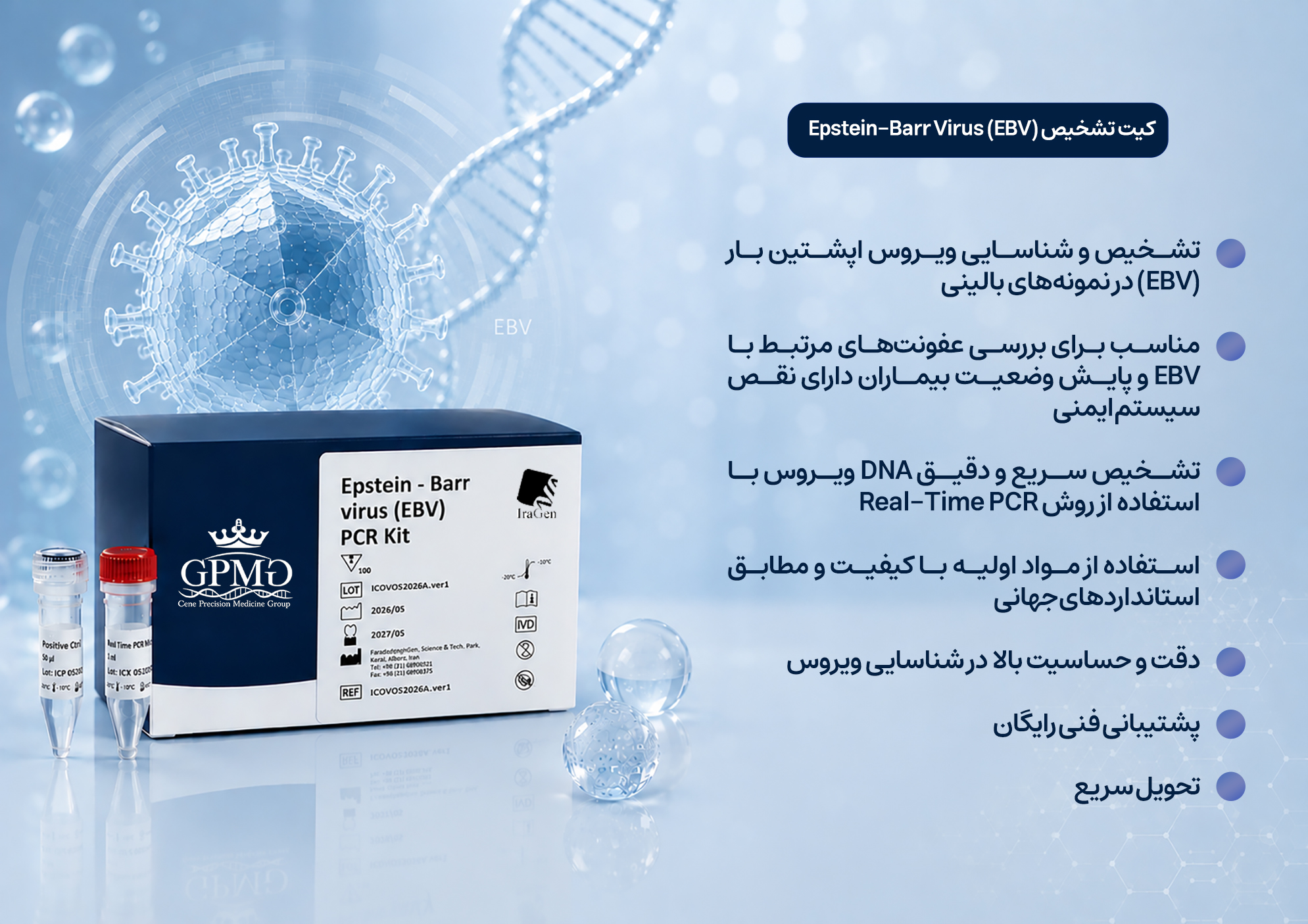 Epstein - Barr virus (EBV) PCR Kit